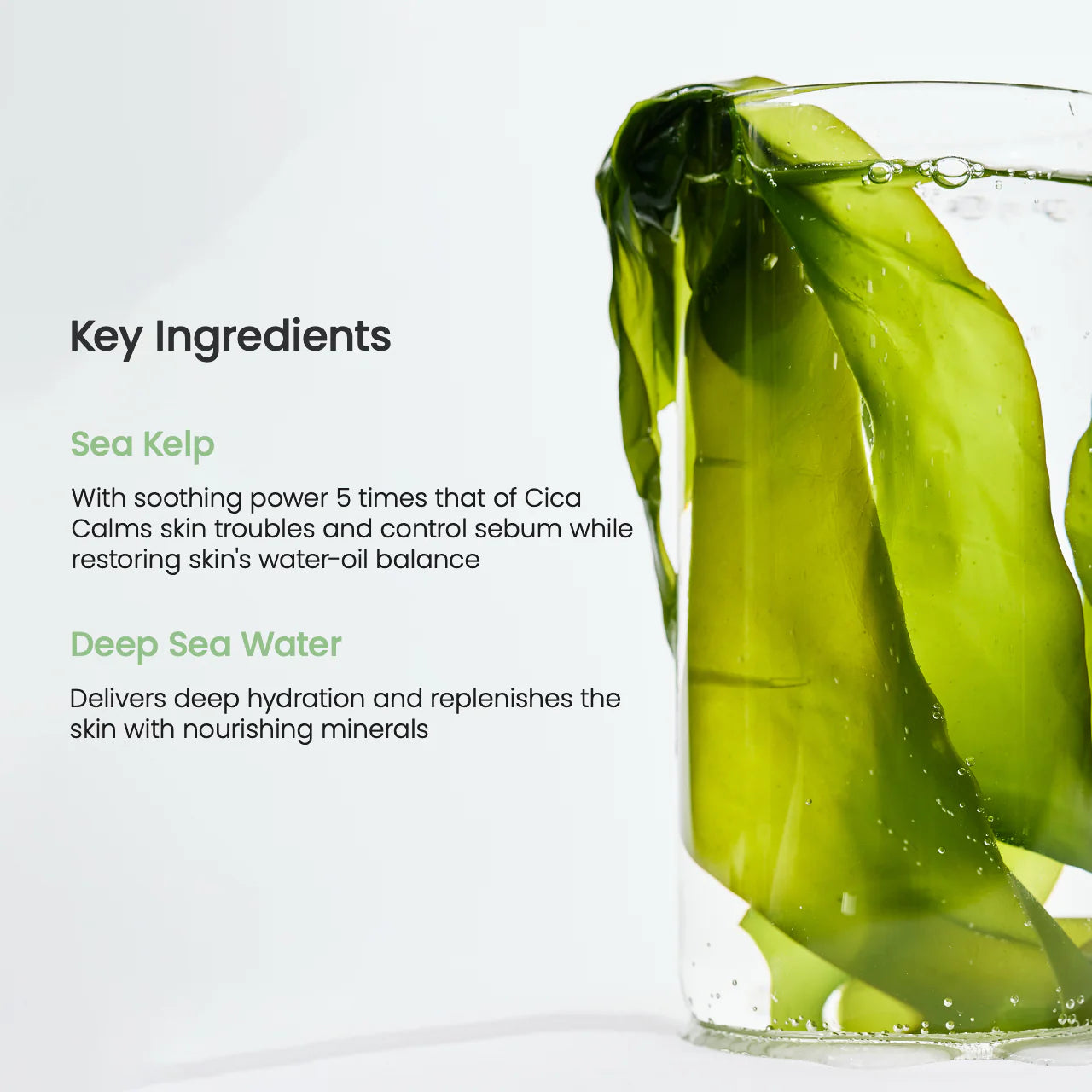 Refreshing Kelp Mask Pack by Biodance